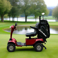 Dailymoving DM418 Mobility Scooter Golf Buggy Cart DM418