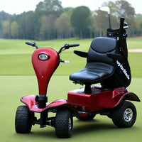 Dailymoving DM418 Mobility Scooter Golf Buggy Cart DM418