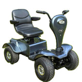 DailyMoving DM418Pro Off-Road Mobility Scooter