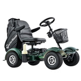 Dailymoving DM416 lithium battery electric golf scooter cart buggy mobility scooter