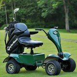 Dailymoving DM418 Mobility Scooter Golf Buggy Cart DM418