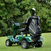 Dailymoving DM418 Mobility Scooter Golf Buggy Cart DM418