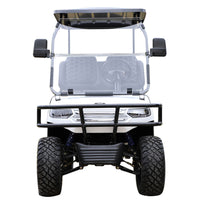 Tara Titan 700 Lithium Battery 2 Seats Electric Golf Utility Cart