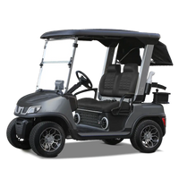 Tara Spirit Plus Lithium Battery 2 Seats Electric Golf Cart