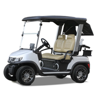 Tara Spirit Plus Lithium Battery 2 Seats Electric Golf Cart