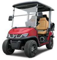 Tara Roadster 2+2 Lithium Battery Four Seats Electric Golf Cart